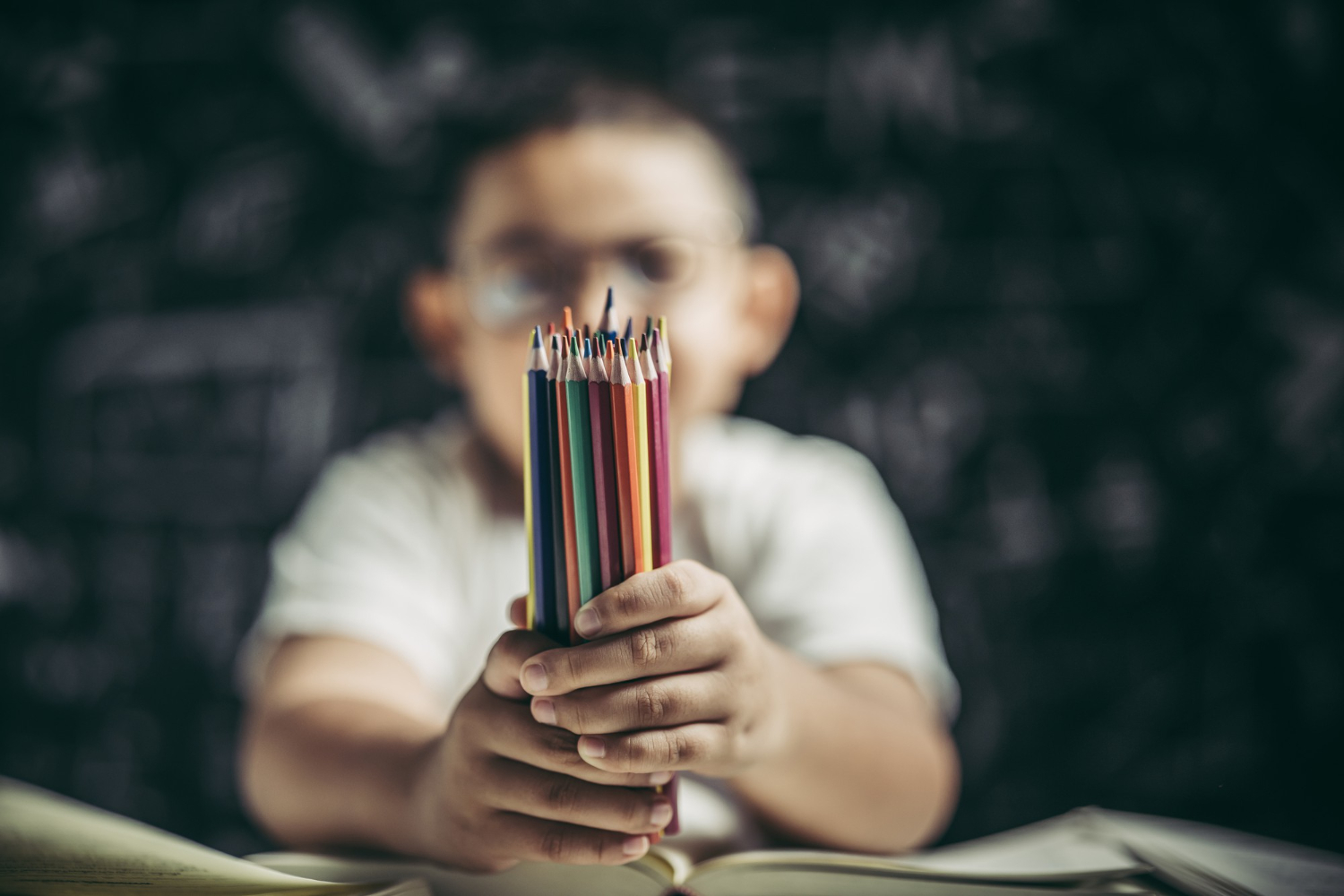 Brain Development